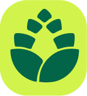 HTML-CSS-Templates.com